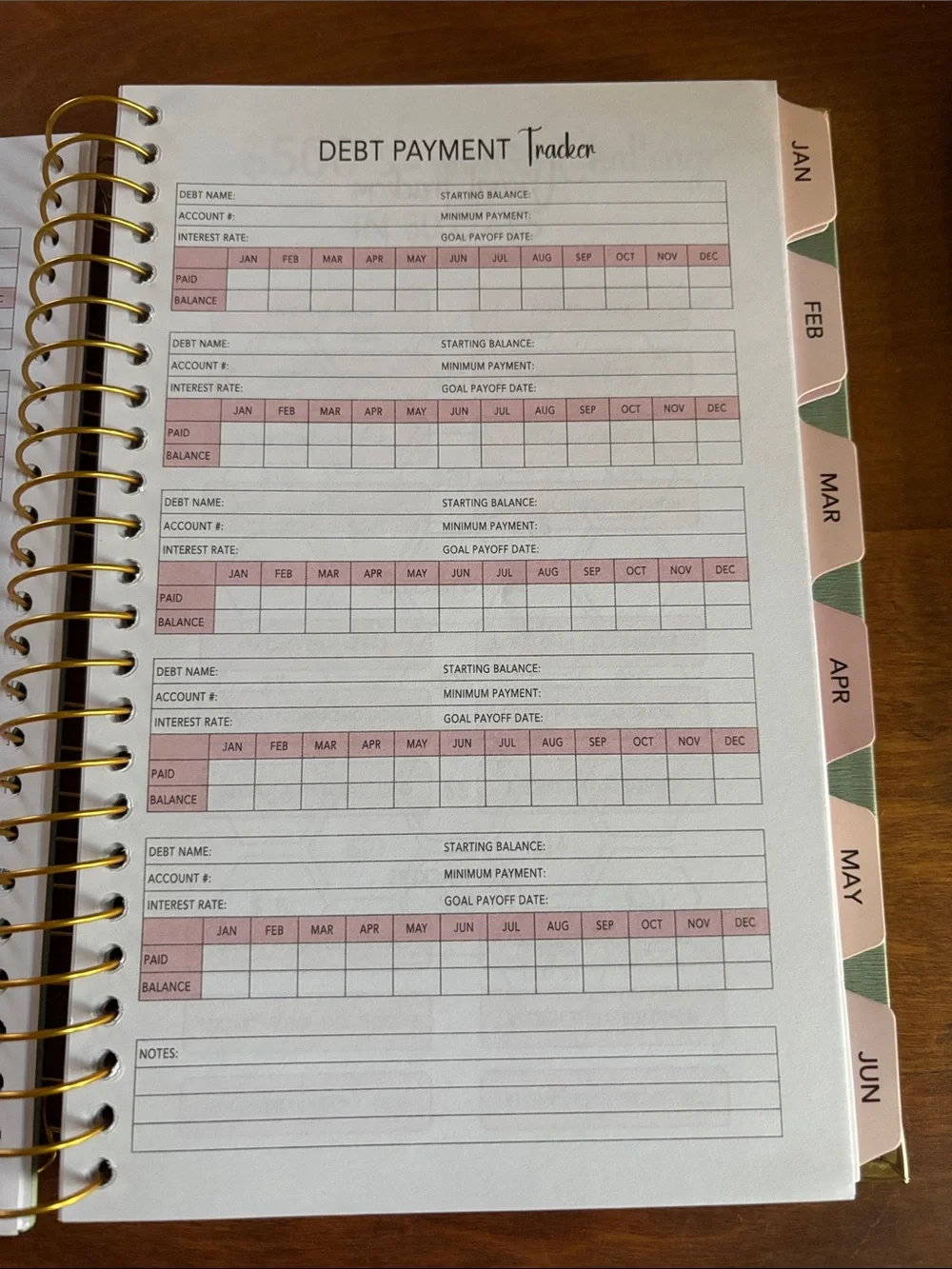 Green Financial Behavior Notebook